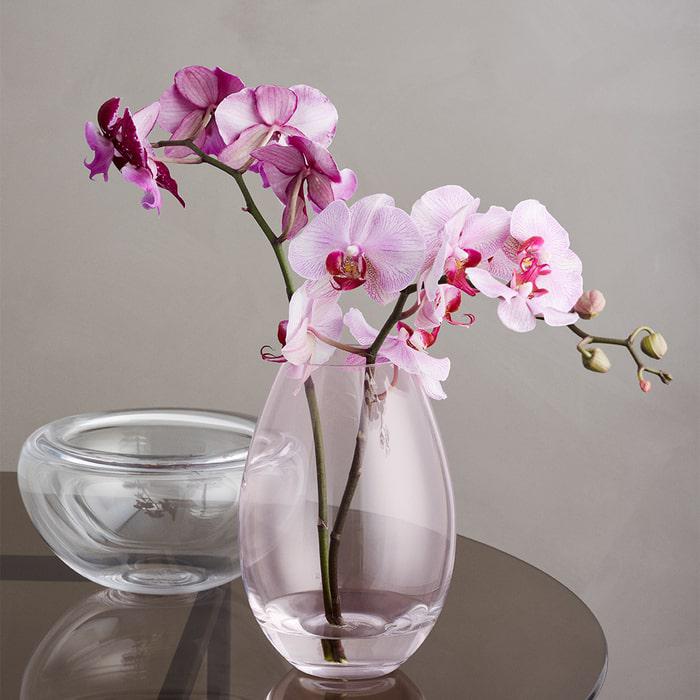 Holmegaard Provence Bowl, Clear, Ø: 7.5